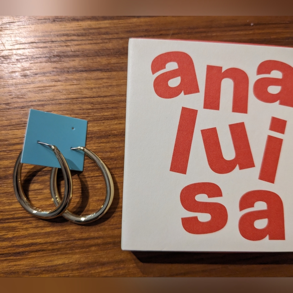 Ana Luisa Cuidado Hoop Earrings - 14k Gold